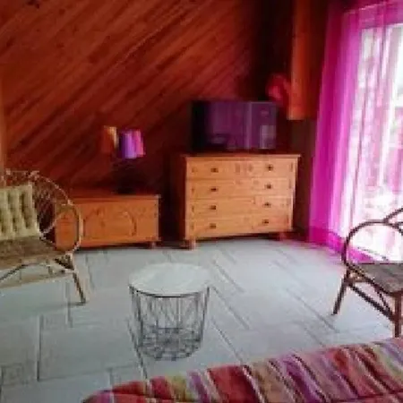 Vue Pic Viscos Rdc 4pers Avec Jardin Vakantiehuis